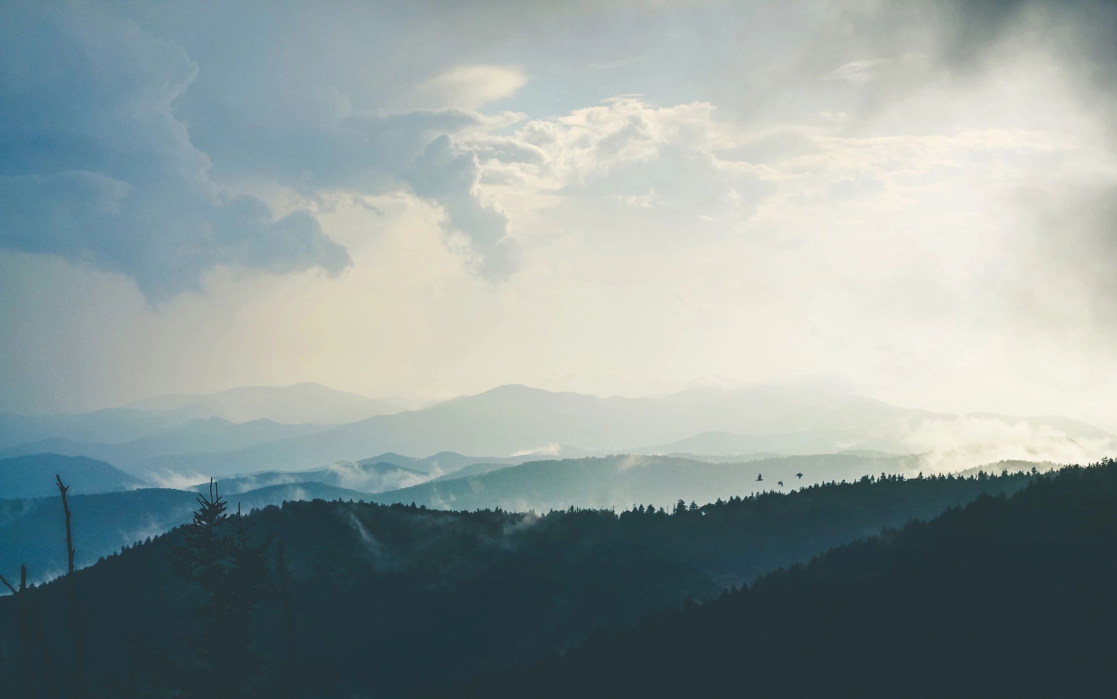 Modern cloud infrastructure and network connections